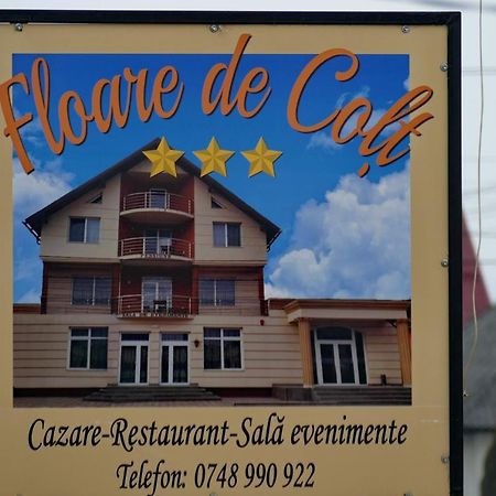 Floare De Colt Hotel Berbesti Eksteriør billede