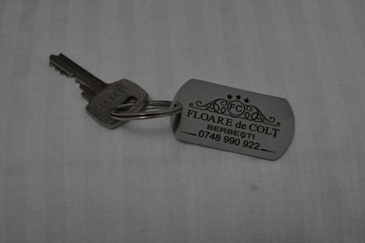 Floare De Colt Hotel Berbesti Eksteriør billede